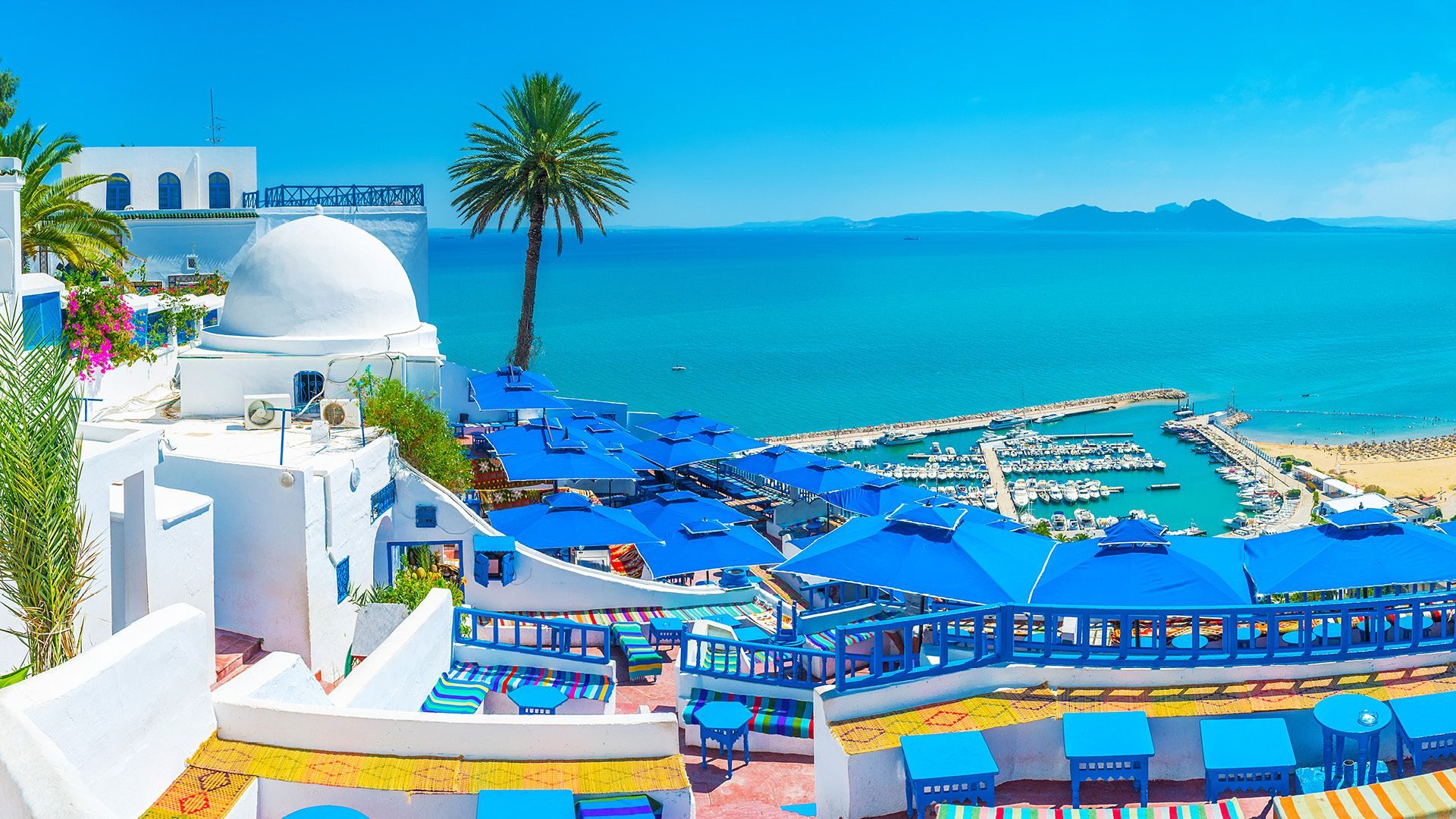 Sidi Bou Said in Tunis: Tunisia's Blue and White Coastal Icon