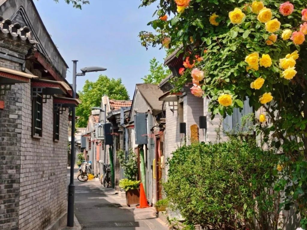Qinhuangdao Alley Hutongs in Beijing: Exploring Beijing's Historic Hutong Lanes